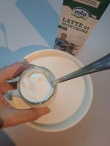 selbst hergestellter Joghurt in die Milch