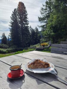 Kaffee und Apfelstrudel in der Puntleider Seealm