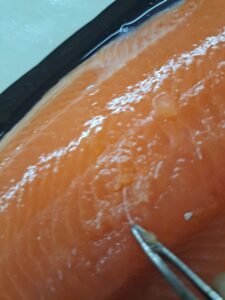 Fisch entgräten