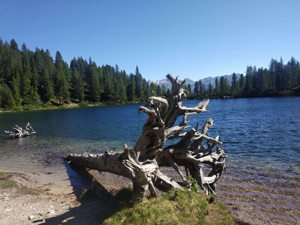 Puntleider See mit dem unverkennbaren abgestorbenen Baum