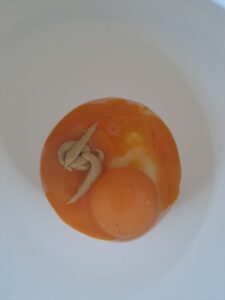 Senf zum Eigelb