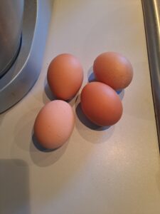 Eier