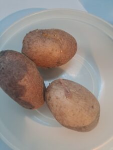 gekochte, ausgekühlte Kartoffel