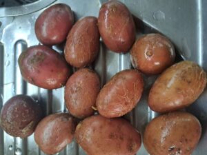 Kartoffel gewaschen