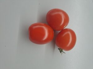 Tomaten