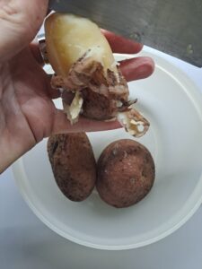 Kartoffel schälen
