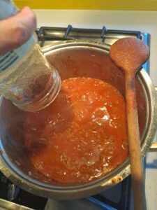Tomaten-Wasser aufgießen