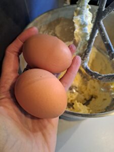 Eier