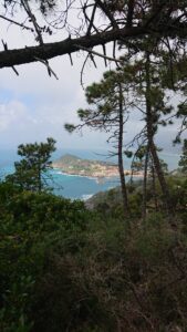 Natur in den Cinque Terre