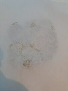 Backpapier auf den Teig