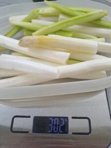 weißer und grüner Spargel