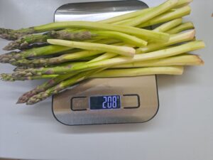 grüner Spargel geschält und Enden abgeschnitten
