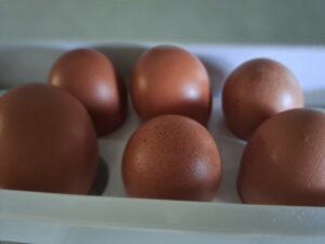 6 Eier