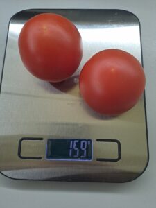 Tomaten
