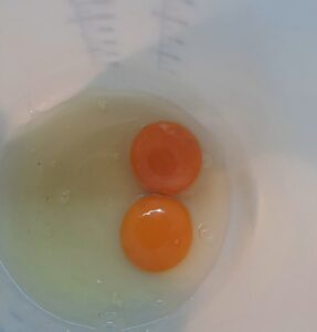 Eier