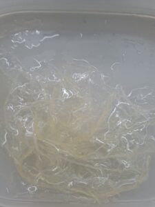 kalte Blattgelatine ausgedrückt