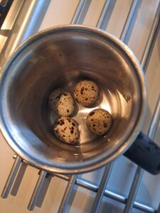 Wachteleier kochen