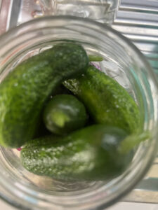 Gurken im Glas