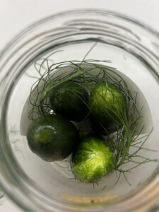 Gurken und Fenchelkraut im Glas