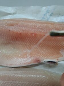 Fisch entgräten