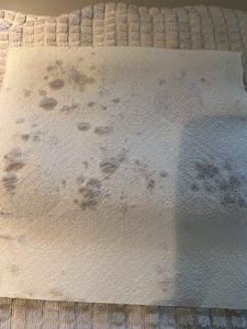 Küchenkrepp auslegen