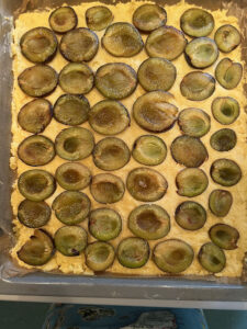 Teig mit Zwetschgen belegt