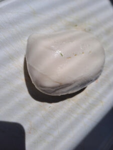 frische Mozzarella