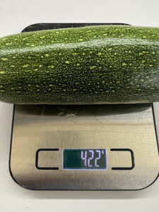 Zucchini