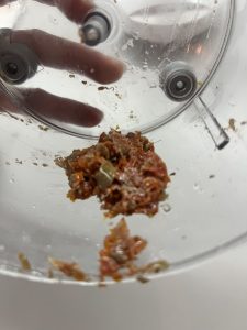 beides in der Maschine gehackt