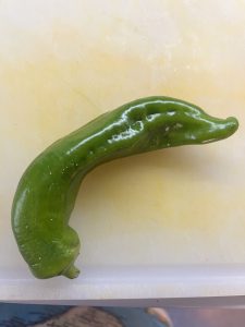 grüne leicht scharfe Paprika