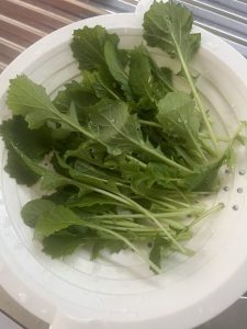 Mizuna gewaschen